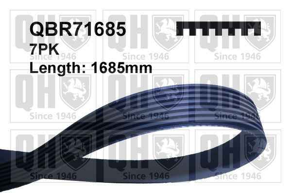 QBR71685 QUINTON HAZELL Поліклиновий ремінь